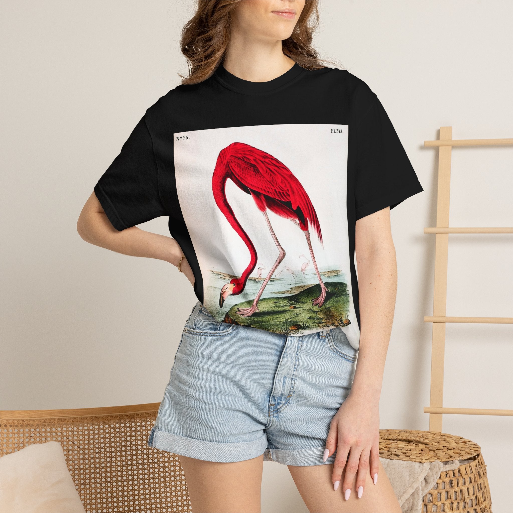 American Flamingo (Phoenicopterus ruber) — Audubon Plate 375