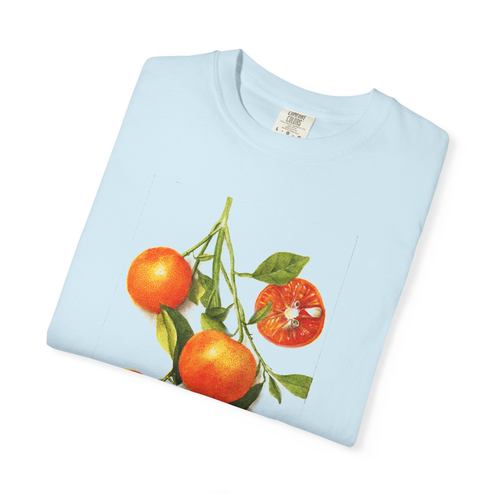 Citrus: Calamondian Orange
