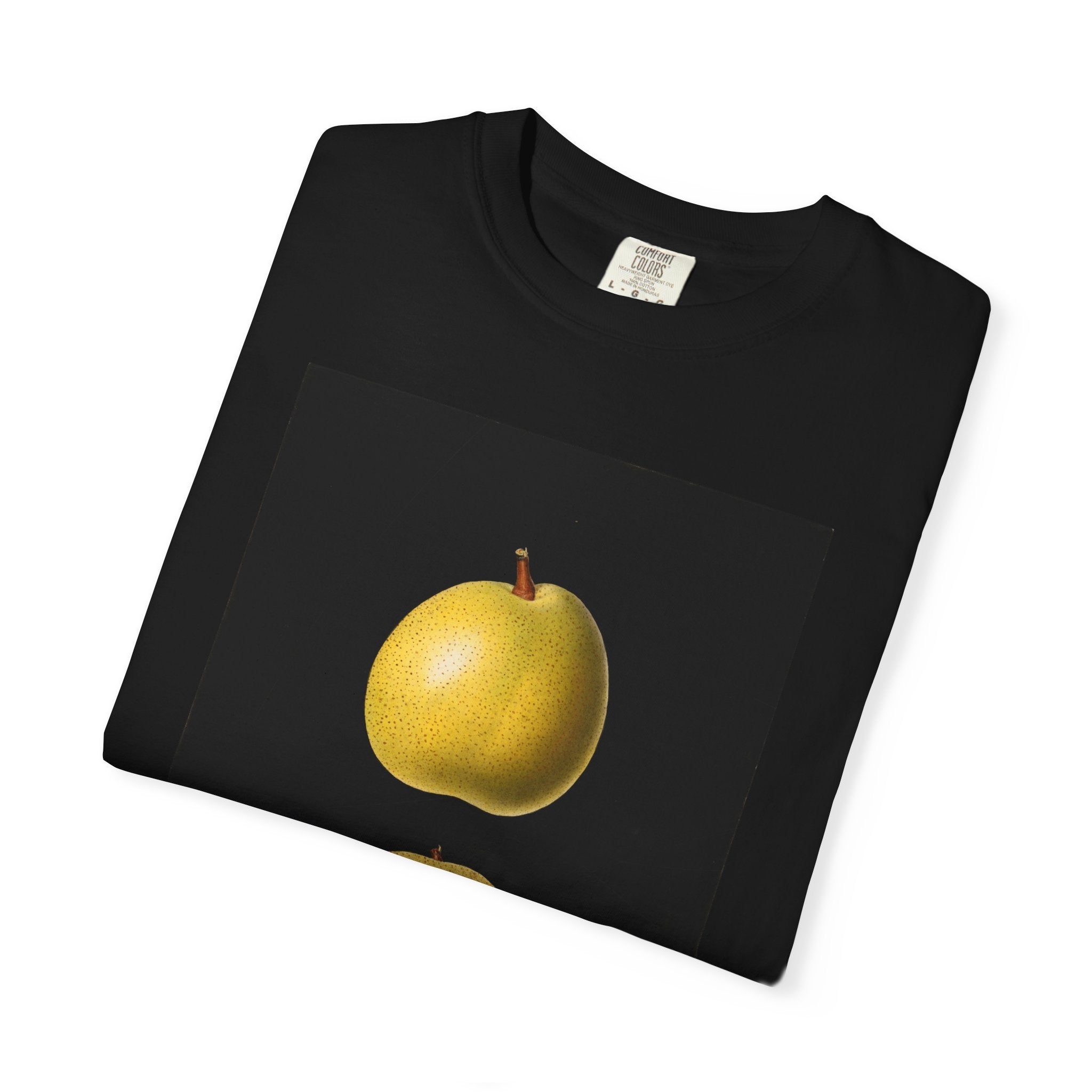 Pyrus ussuriensis: Ussurian Pear