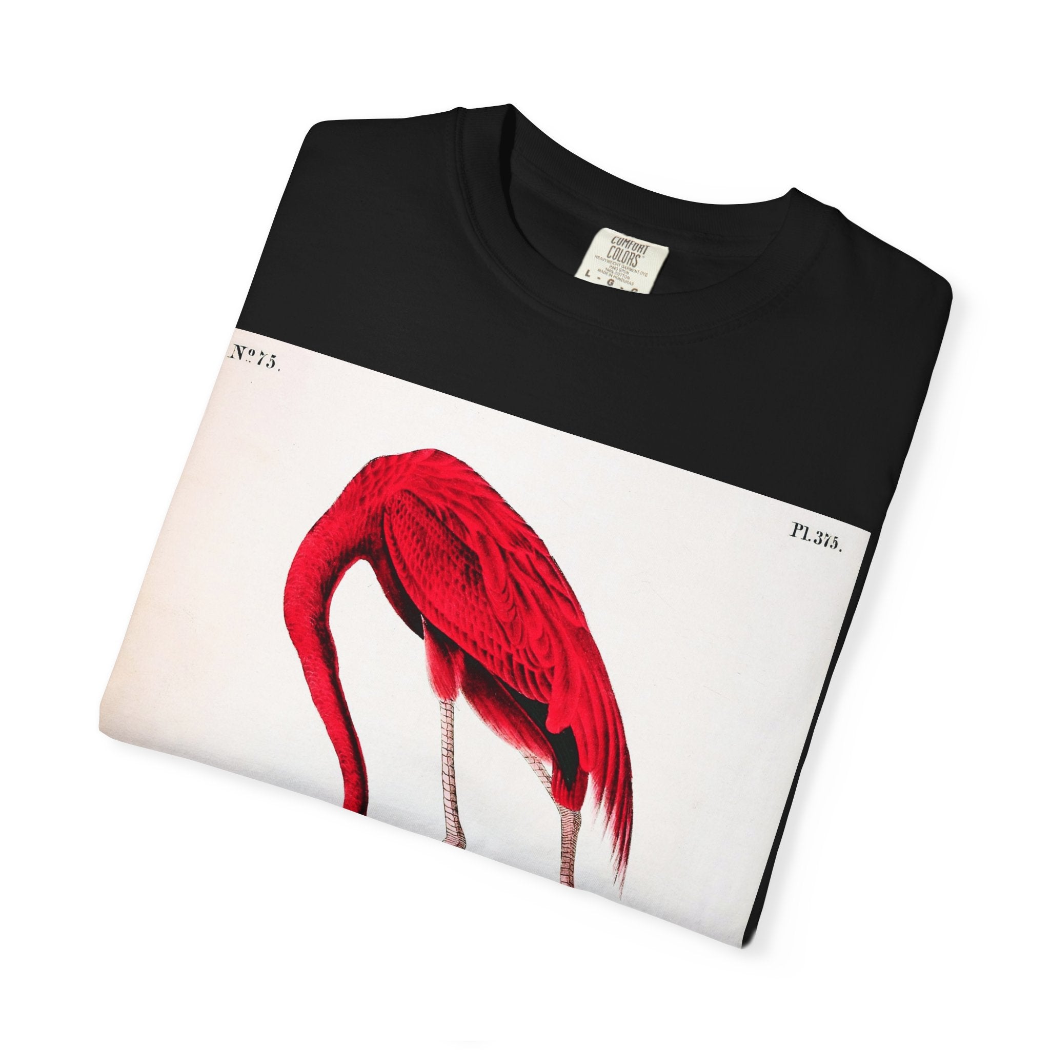 American Flamingo (Phoenicopterus ruber) — Audubon Plate 375