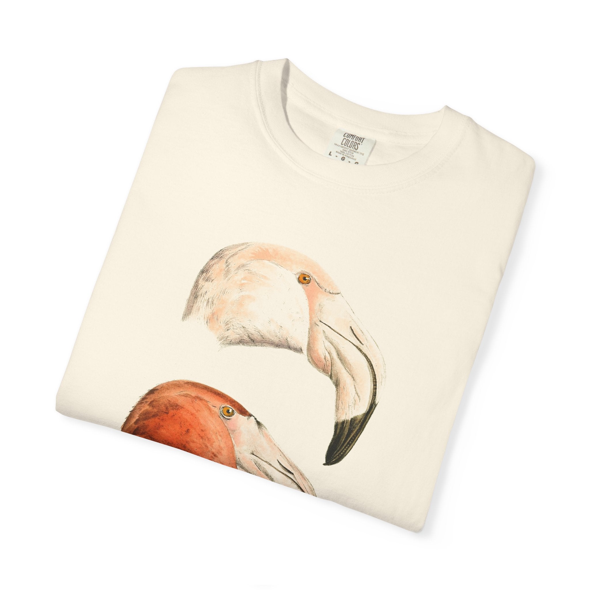 Flamingo Study (Plate XXVI), from Faune de la Sénégambie (1883)