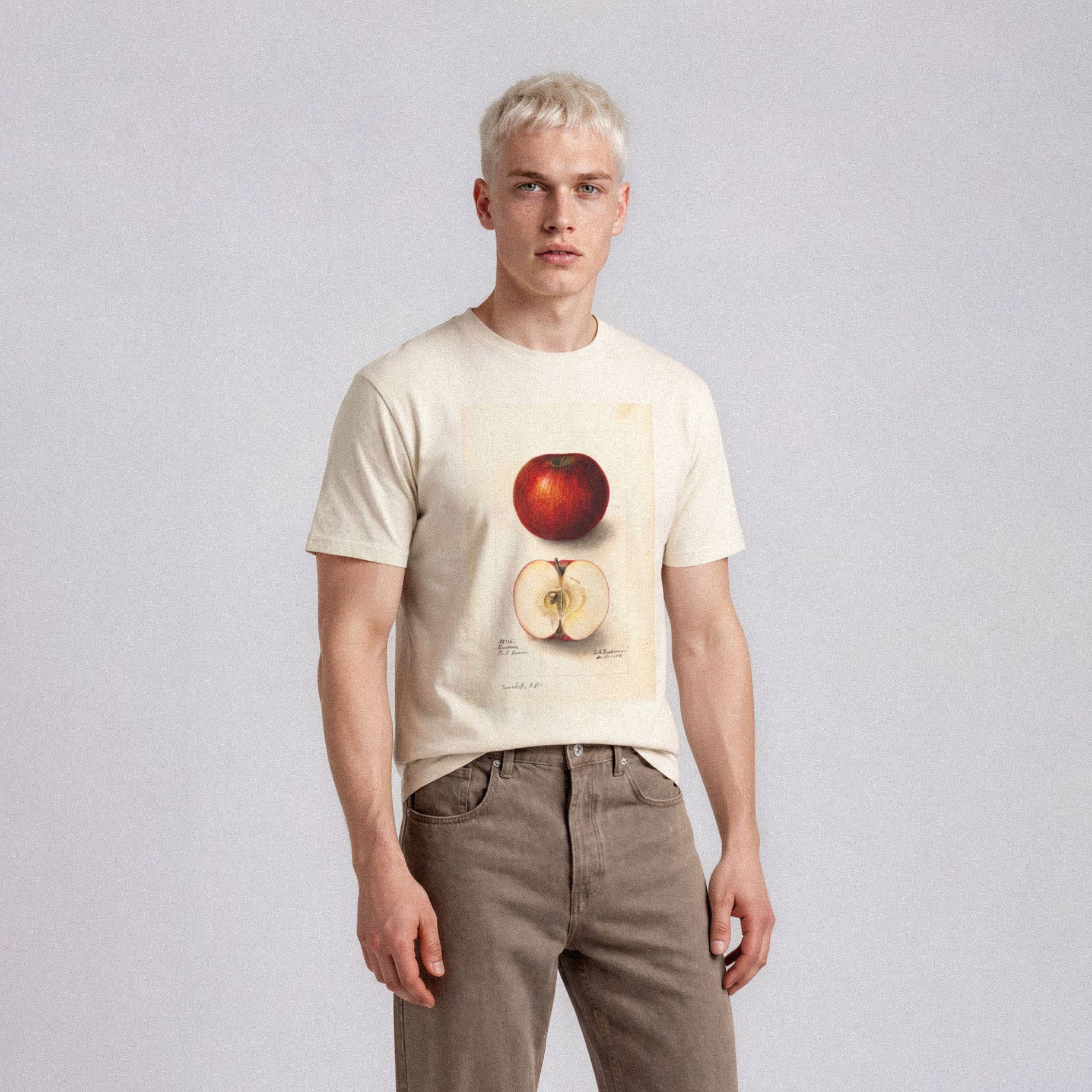 Malus domestica: Bonum Apple