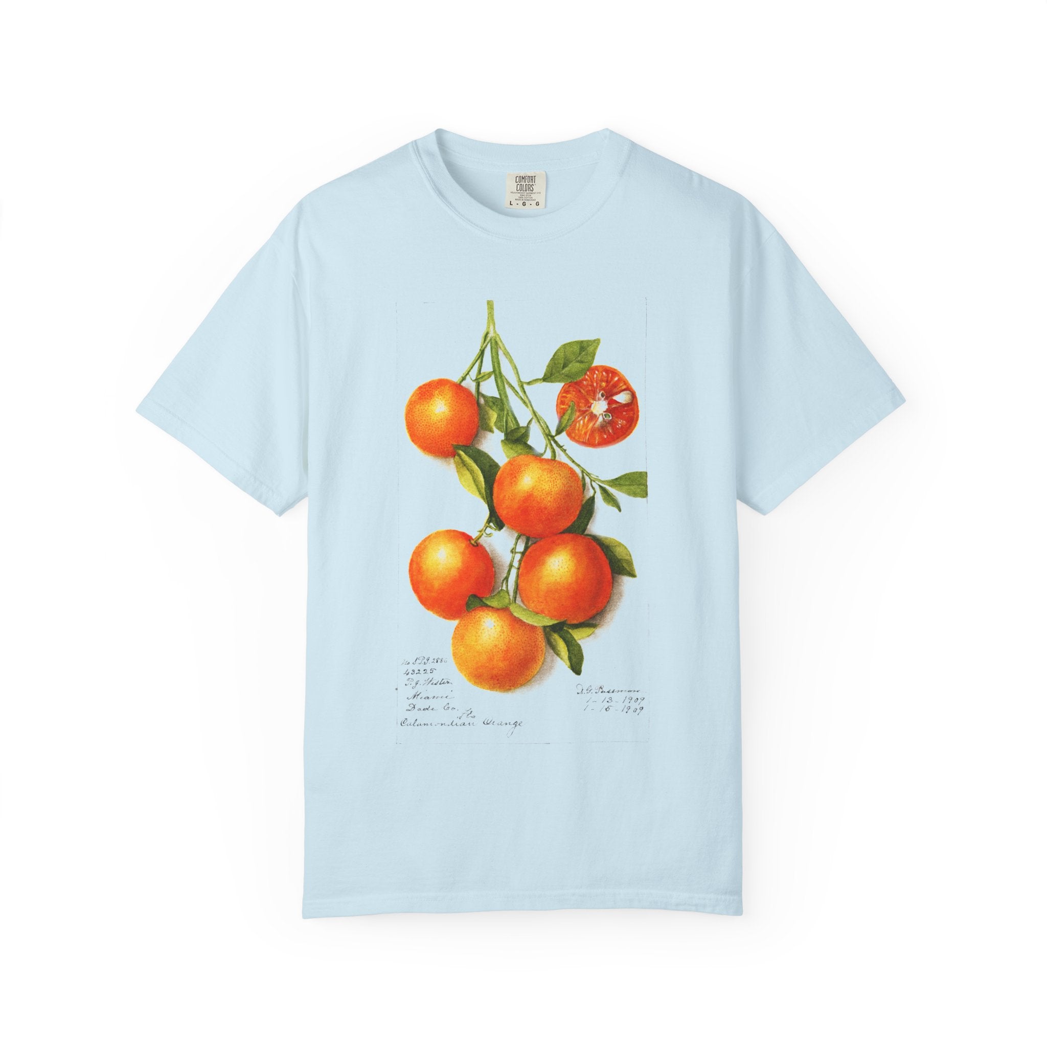 Citrus: Calamondian Orange