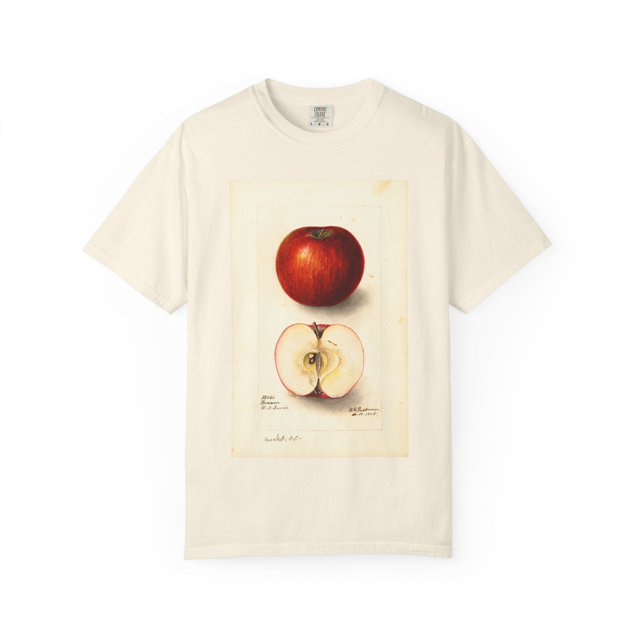 Malus domestica: Bonum Apple